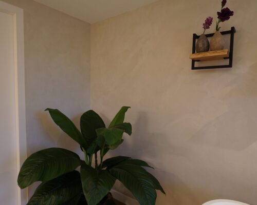 Calco Kalkstuc vakkundig geschilderd door Room Designers